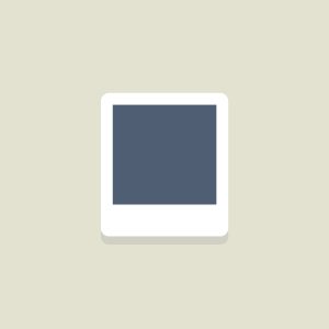 Image Icon